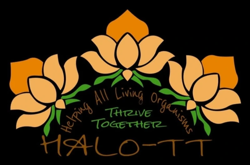 Halo Thrive Foundation’s original logo